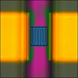biomolecule-sensing